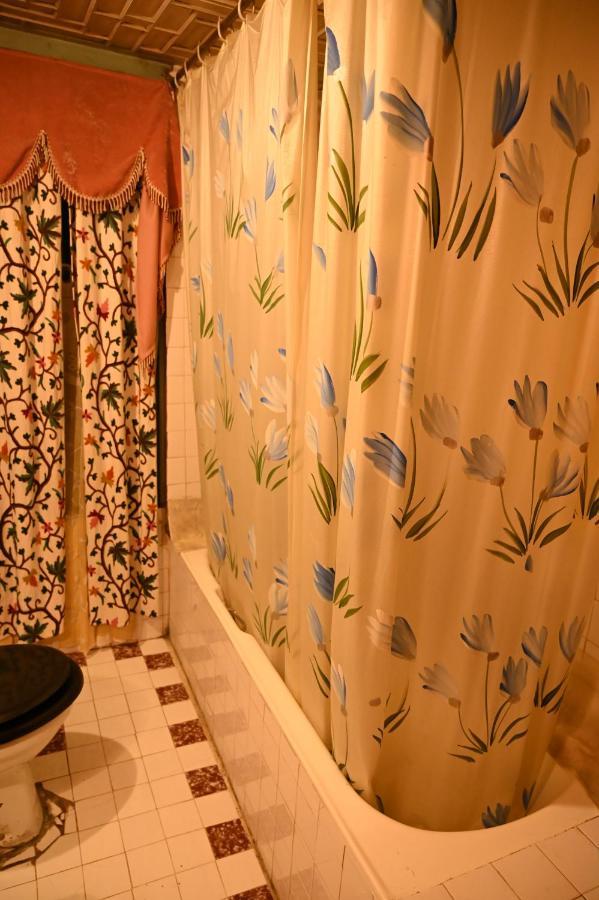 ホテル Kings Houseboats Srīnagar エクステリア 写真