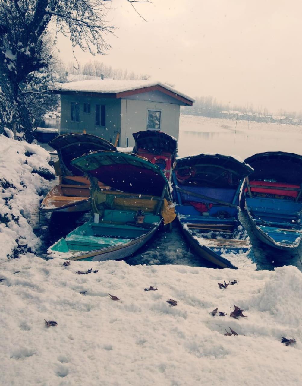 ホテル Kings Houseboats Srīnagar エクステリア 写真