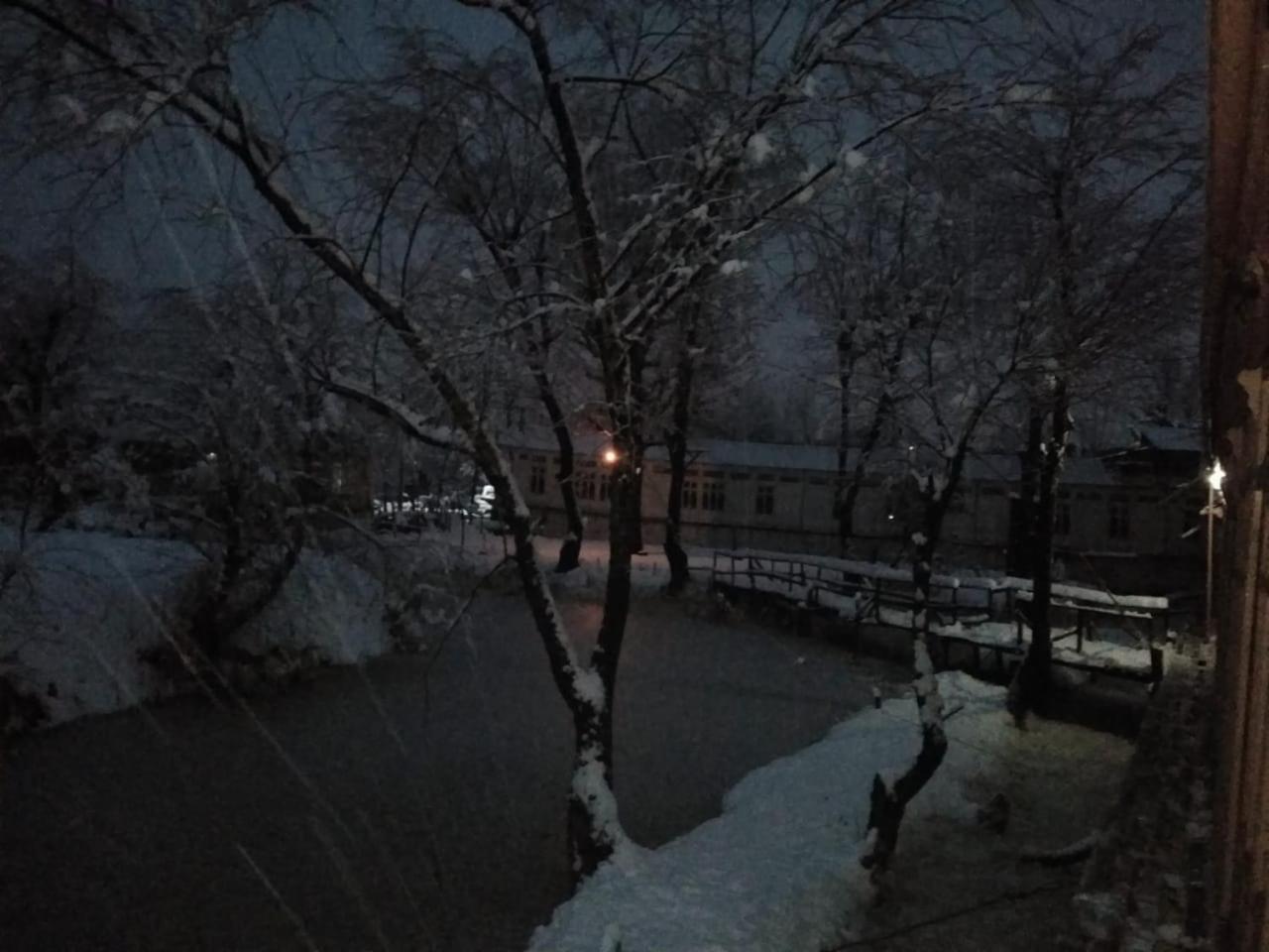 ホテル Kings Houseboats Srīnagar エクステリア 写真